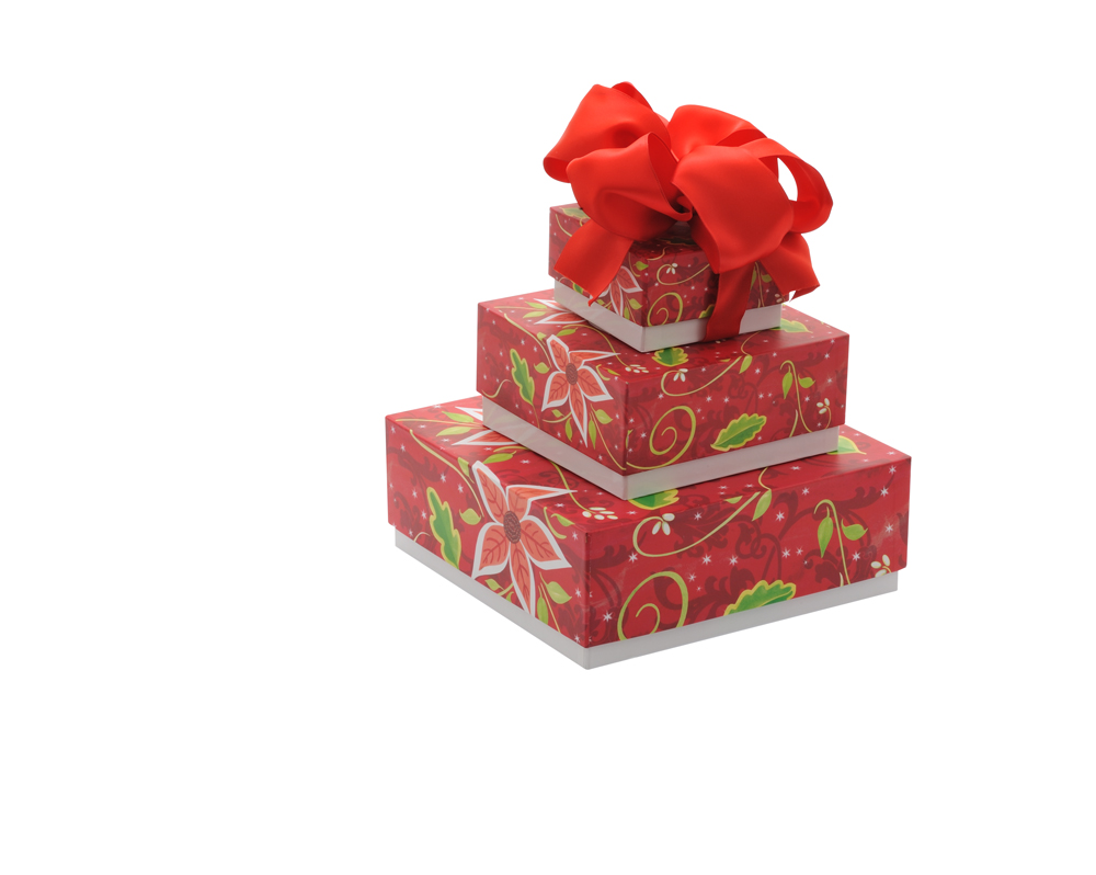 63641 Pointsetta Twr10