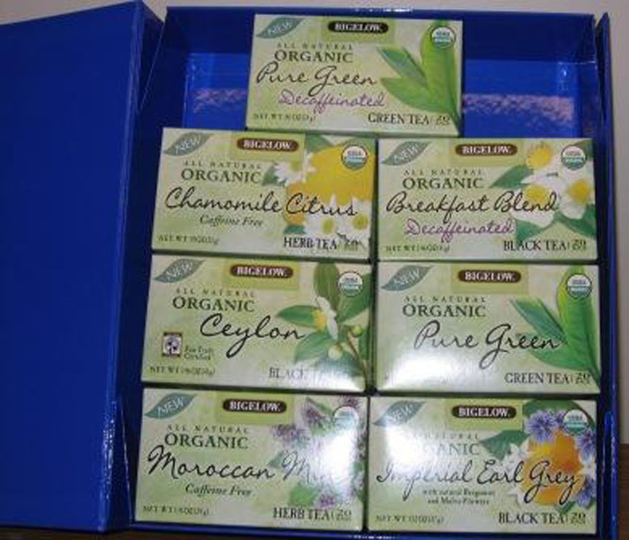 Spring Catalog 08 As#1D3D86