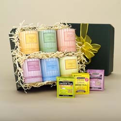 bglw_tea and organic co001