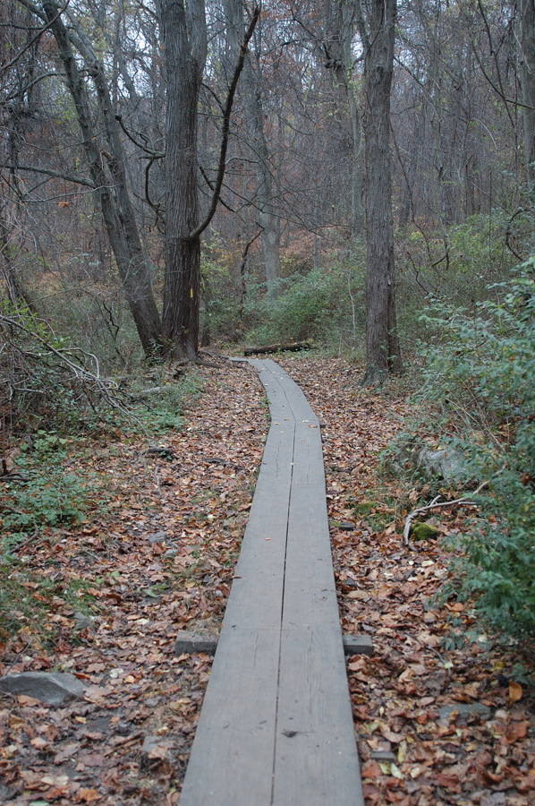 NH_Bartrc_Lake M_001