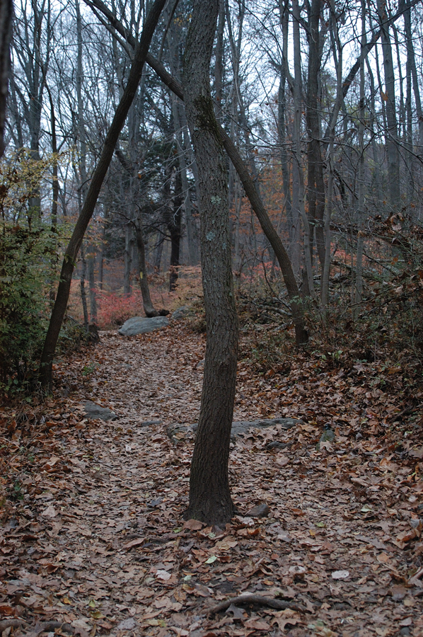 NH_Bartrc_Lake M_002