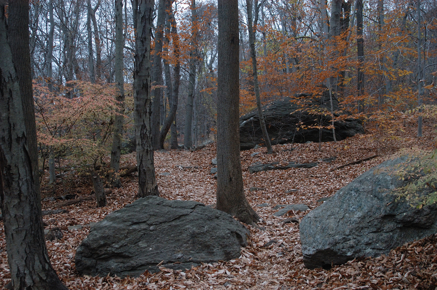 NH_Bartrc_Lake M_006