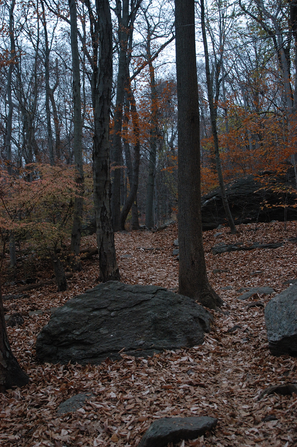 NH_Bartrc_Lake M_007