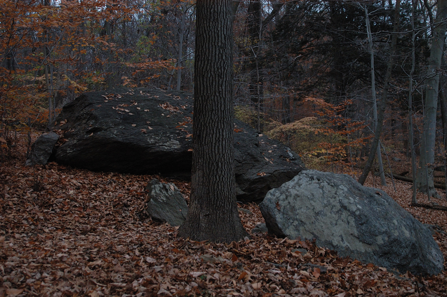 NH_Bartrc_Lake M_008