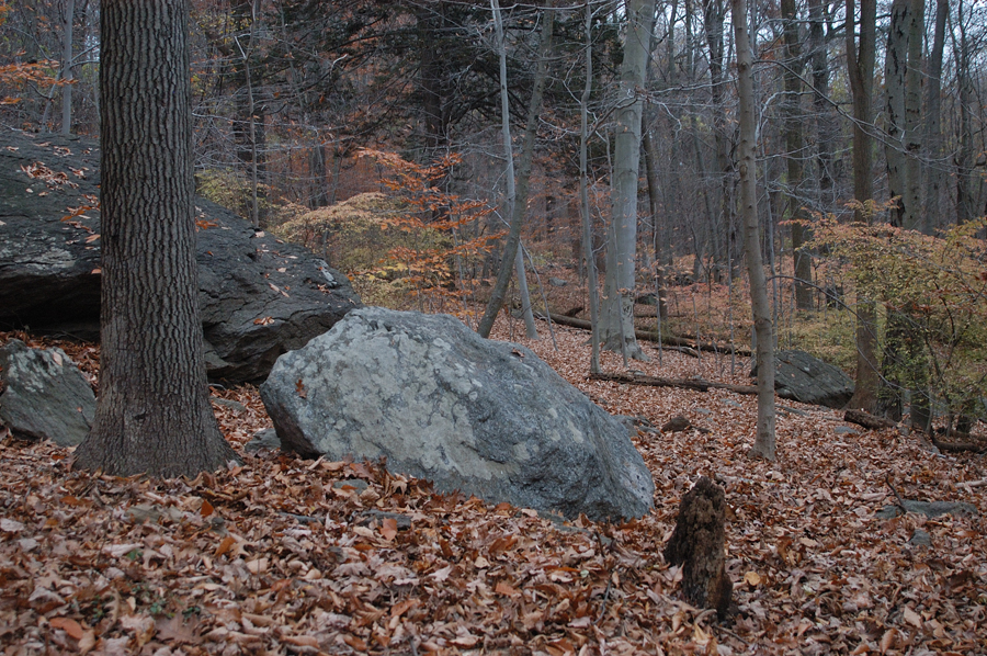 NH_Bartrc_Lake M_009