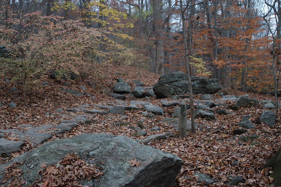 NH_Bartrc_Lake M_011