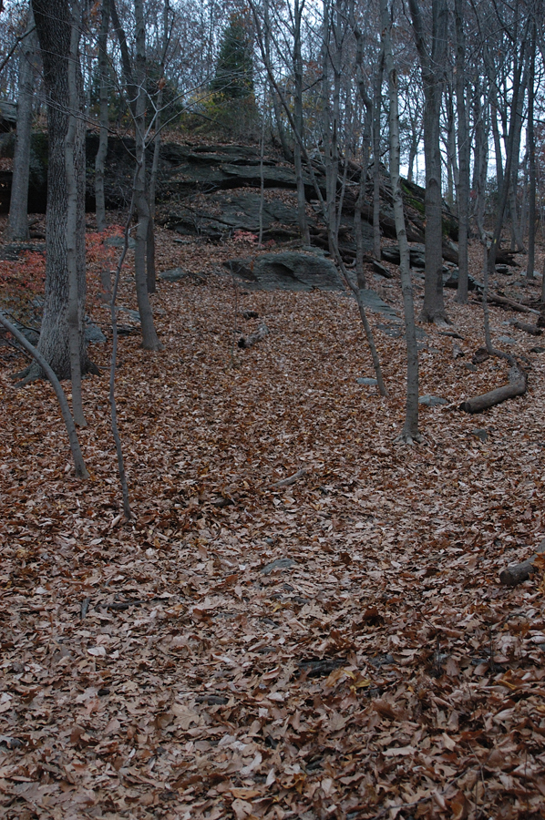 NH_Bartrc_Lake M_014