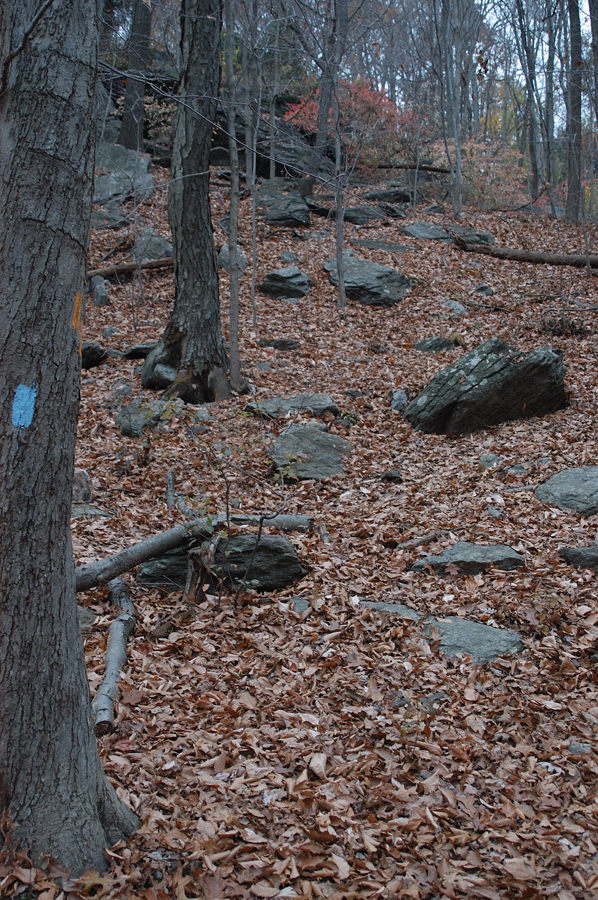 NH_Bartrc_Lake M_016