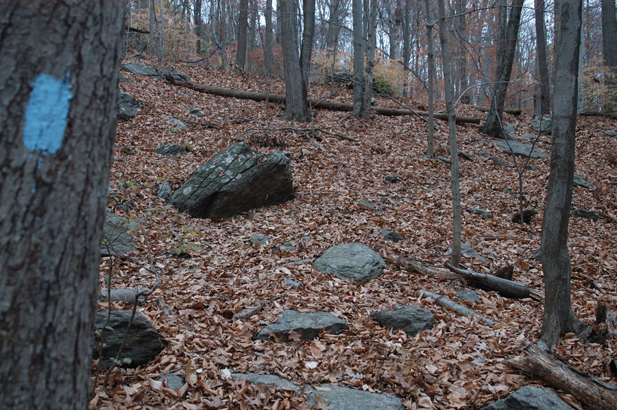 NH_Bartrc_Lake M_017