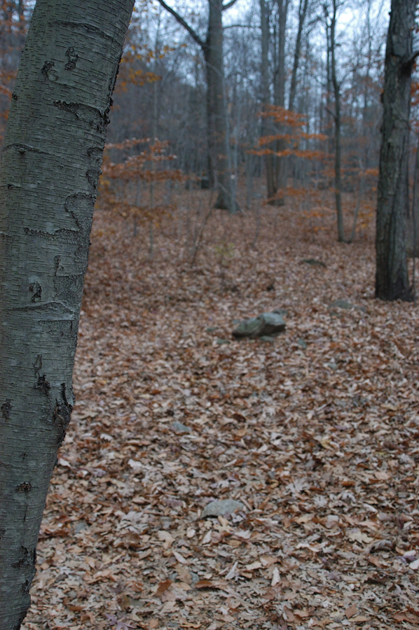 NH_Bartrc_Lake M_018