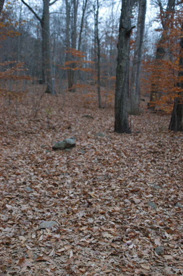 NH_Bartrc_Lake M_020