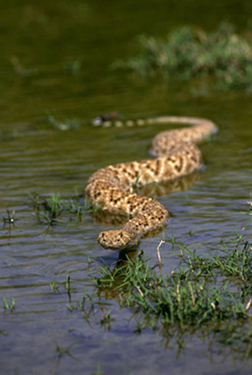 MediaBakery_BXP0027512