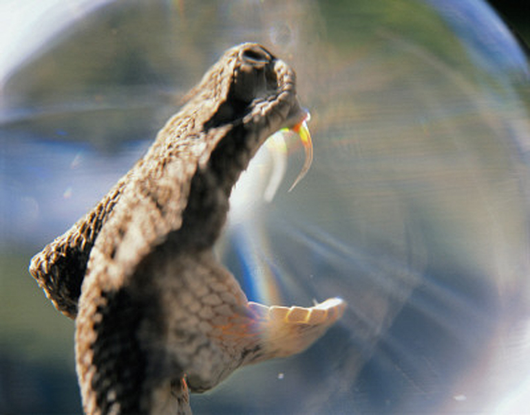 MediaBakery_PDI0128087