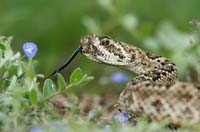 MediaBakery_PDI0073800