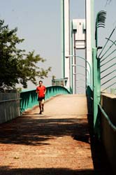 Randalls Island Walkway 2