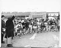 CherryTreeMarathon_60s