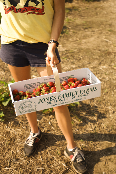 berrypick_strwberryboxStaff