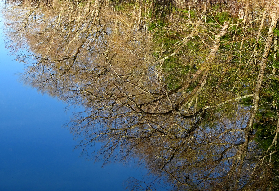 Broadmoor reflection