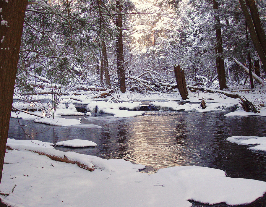Broadmoor stream reflection