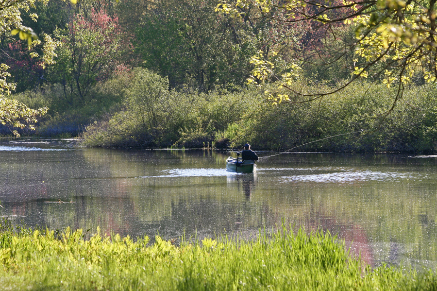 Fishing on the Charles 2