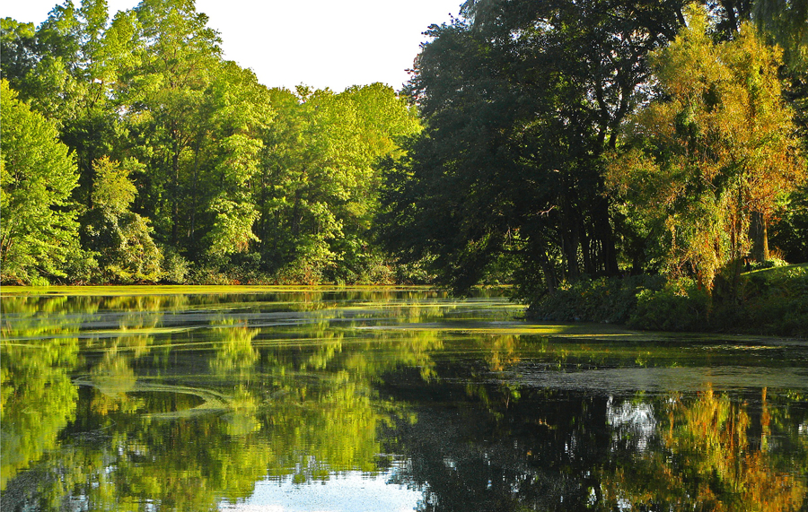 Late afternoon at the dam