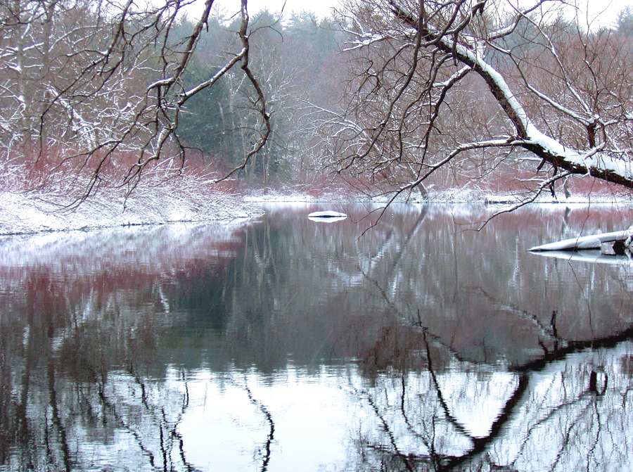 Misty Charles, touched up