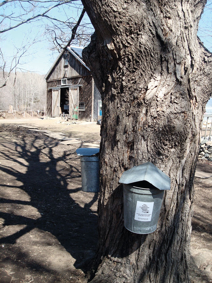 foodandwine_another s#3282C