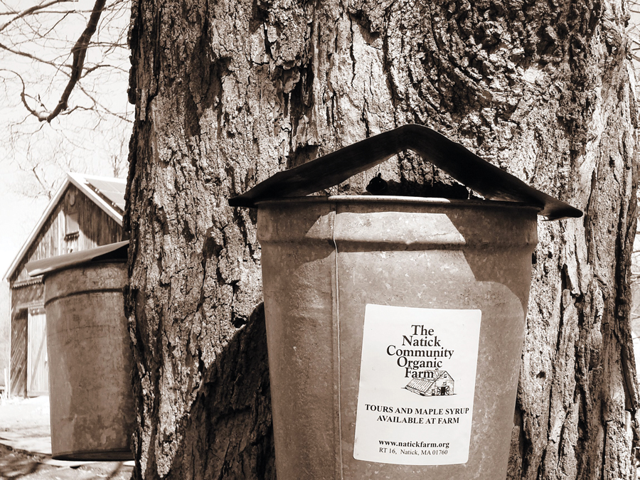 foodandwine_ncof horz#32833