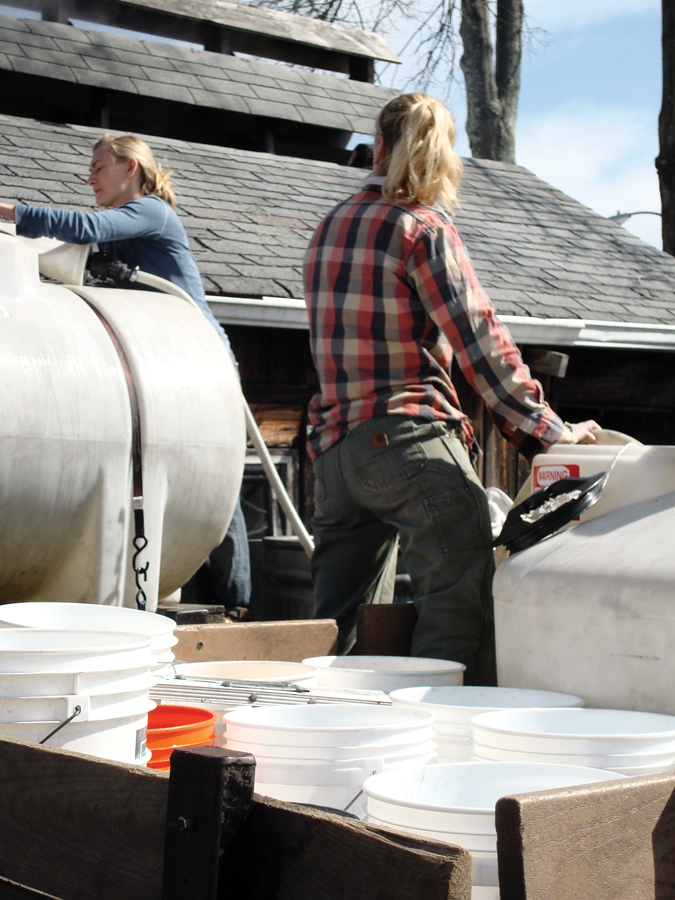 foodandwine_sap is co#32824