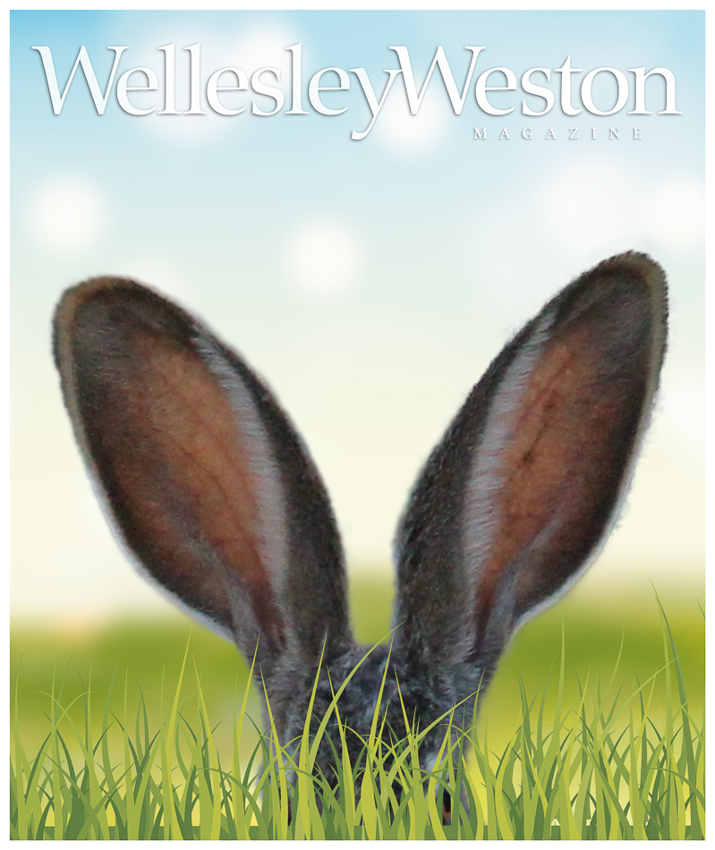 wwm.cvr_spr2021 humor