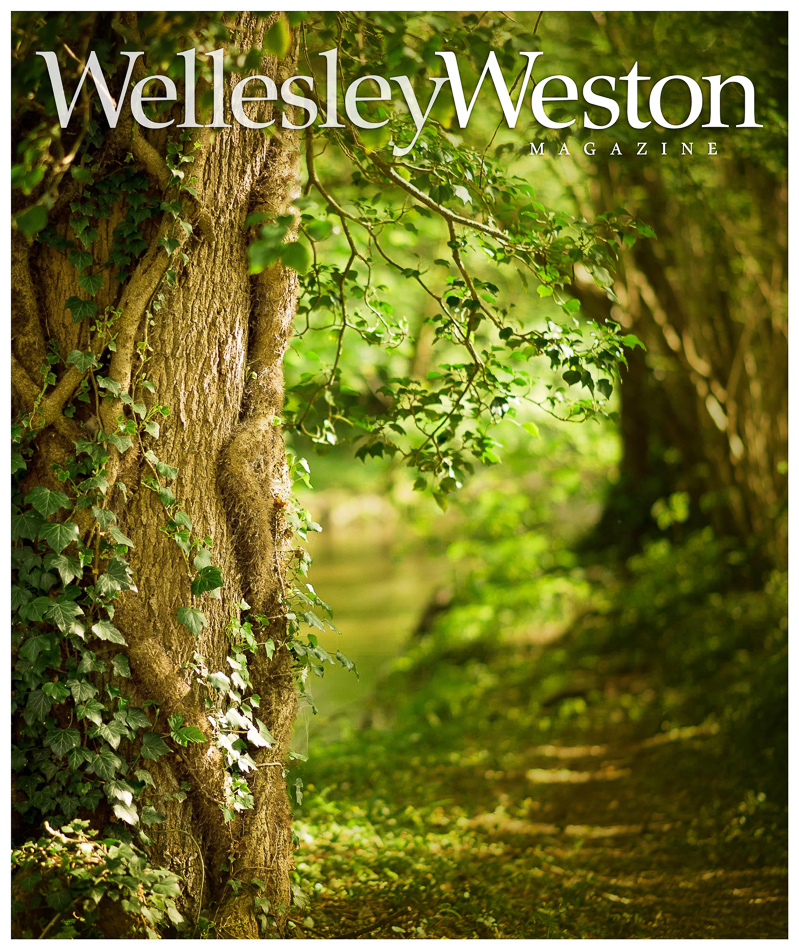 wwm.cvr_spr2021 poohforest