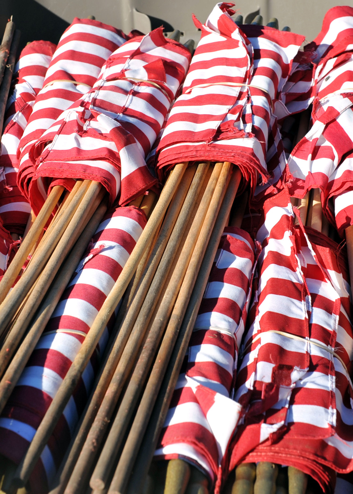 American Flags waiti#12E9DA