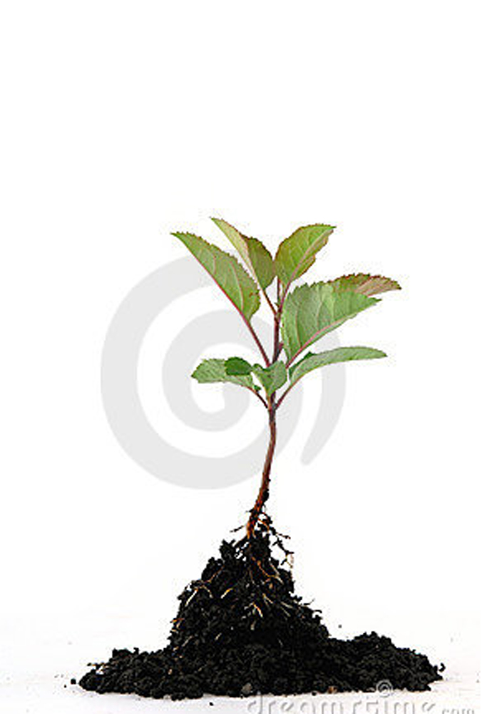 Screen shot 2010-10-1#C574B