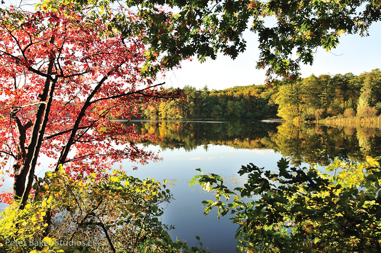 Lake Waban single
