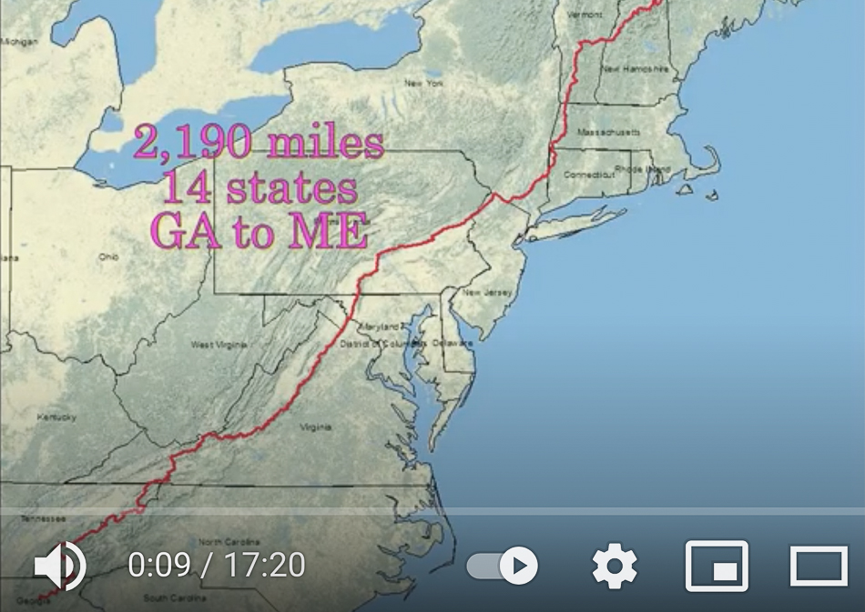 Screen Shot 2021-03-14 at 3.31.54 PM