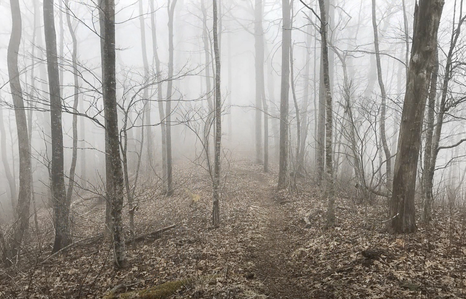 Screen Shot 2021-03-14 at 3.35.21 PM