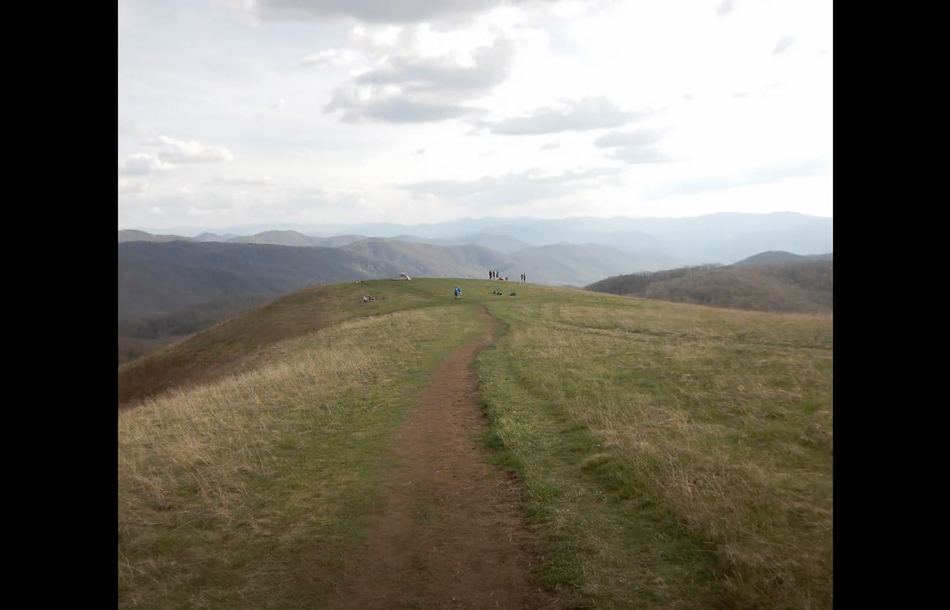 Screen Shot 2021-03-14 at 3.37.42 PM