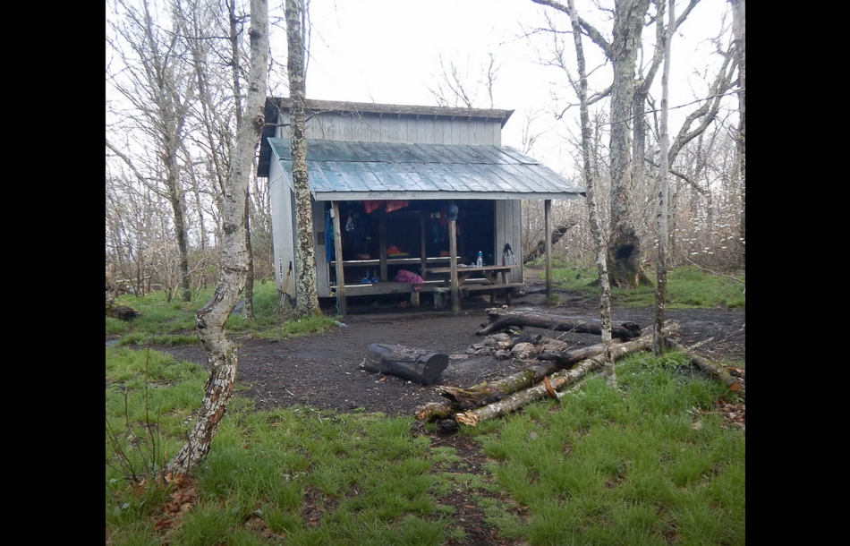 Screen Shot 2021-03-14 at 3.38.10 PM