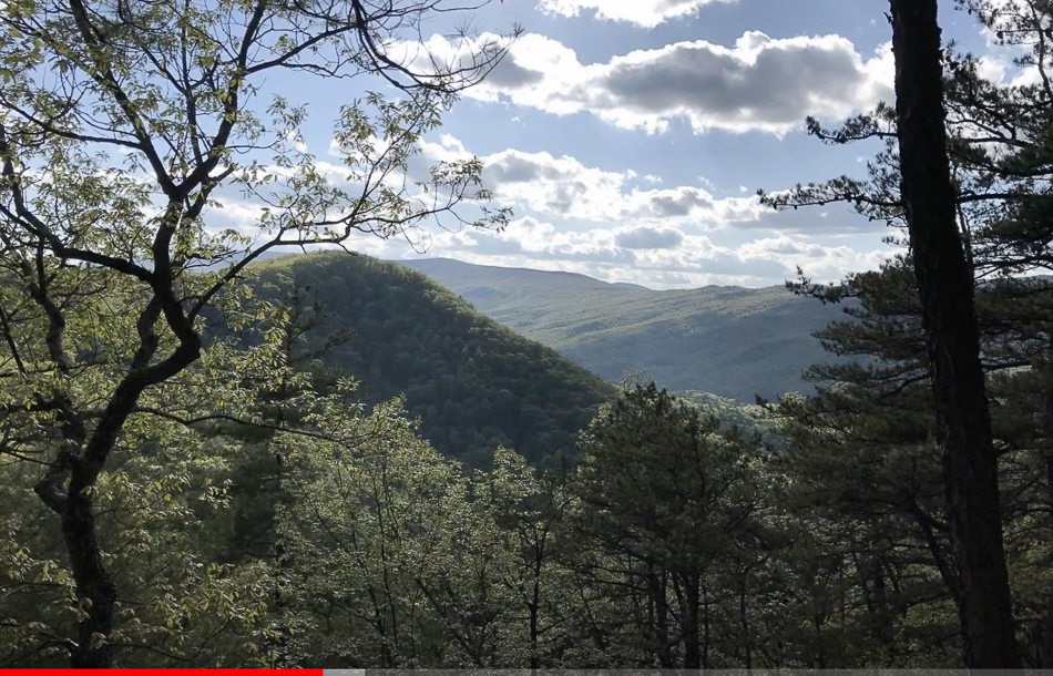 Screen Shot 2021-03-14 at 3.40.50 PM