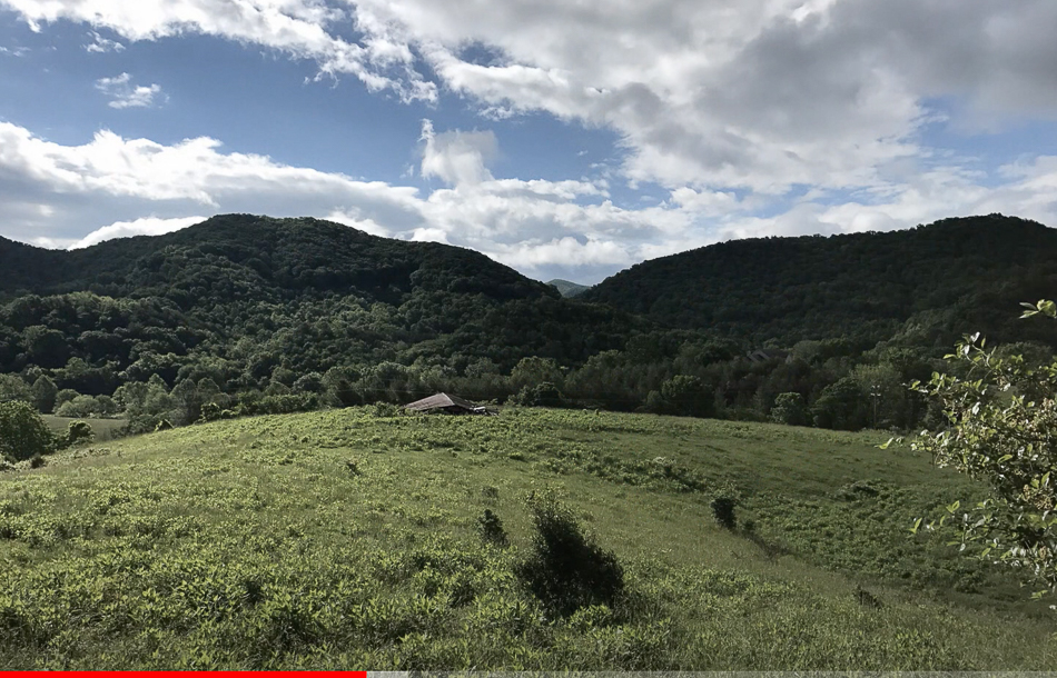 Screen Shot 2021-03-14 at 3.41.22 PM