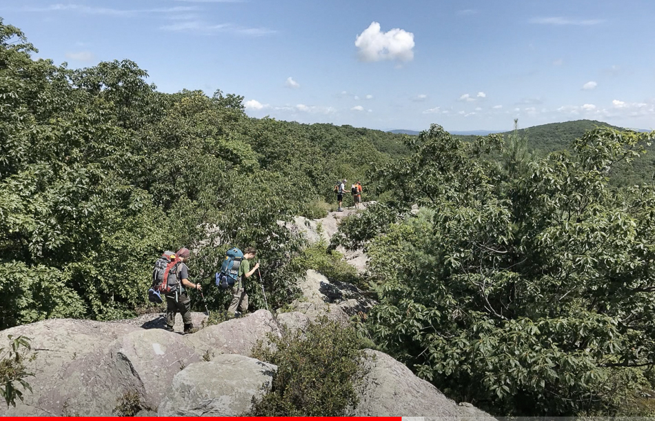 Screen Shot 2021-03-14 at 3.43.32 PM