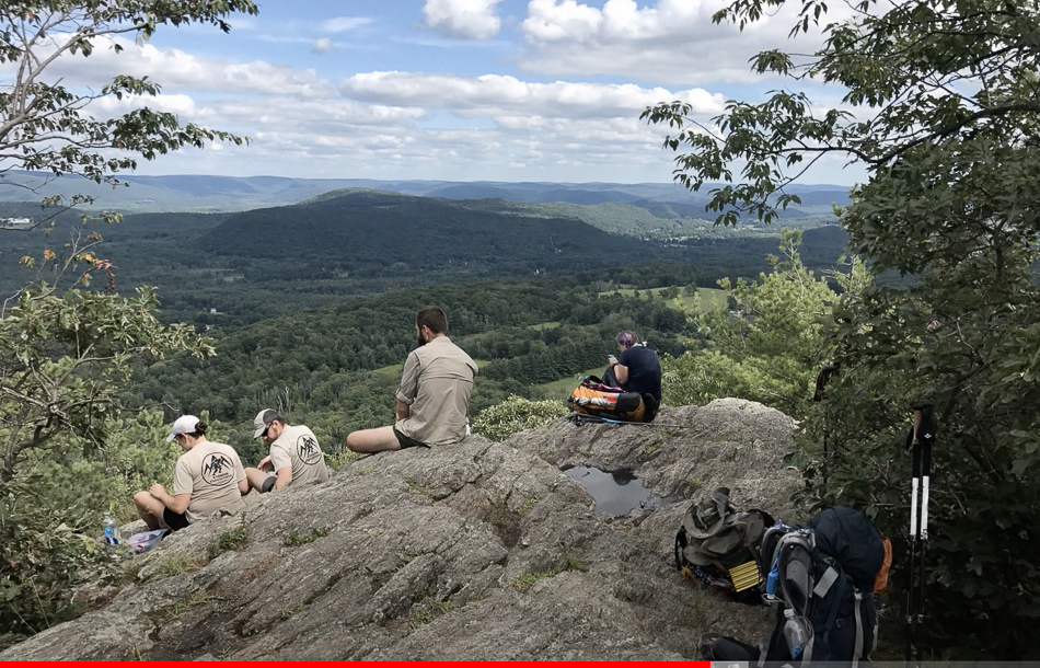 Screen Shot 2021-03-14 at 3.44.07 PM