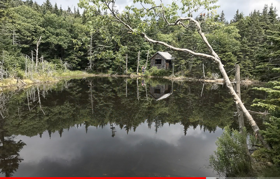 Screen Shot 2021-03-14 at 3.45.02 PM