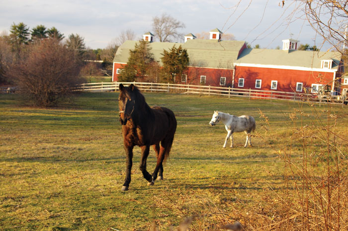 Gateways Farm_pasture view