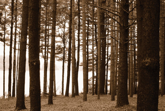 WWWater_MSRA reservoir2