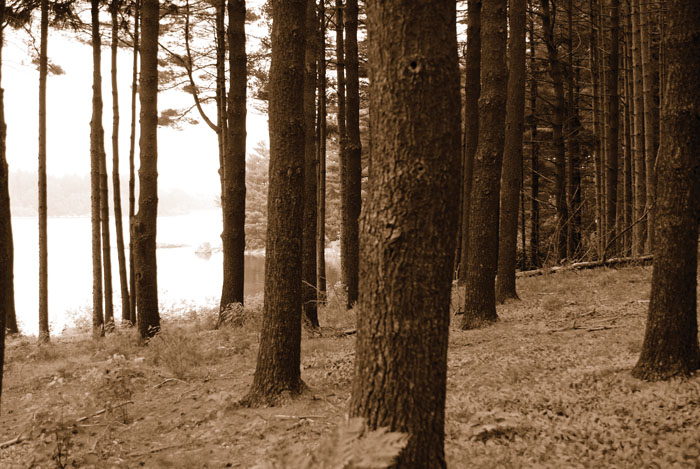 WWWater_MSRA reservoir3